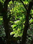 P1680386