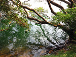 IMG_0288