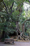 DSC09924