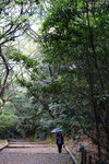 DSC09925