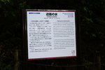 DSC09934
