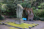 DSC09936