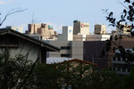 DSC09939
