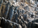 P8160189