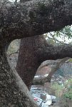 DSCF0125