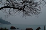 DSCF0126