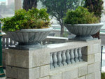 DSCN0013