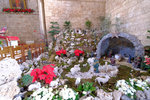 DSCF9250