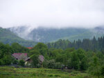 P1477246