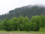 P1477247