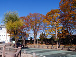 P1322650