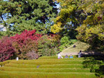 P1322664