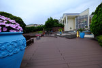 DSCF7176