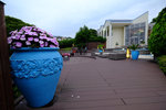 DSCF7177
