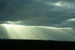 DSC07965