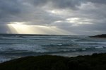 DSC07969