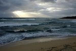 DSC07974