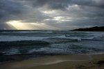 DSC07980
