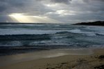 DSC07981