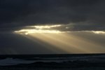 DSC07991