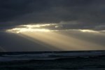 DSC07997
