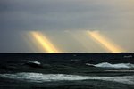 DSC08006
