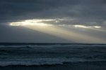 DSC08013