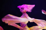 DSC00039