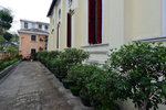 AUK_4463