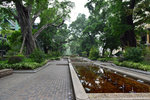 AUK_4476