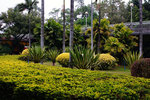 DSC09088