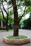DSC09092