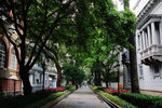 DSC09101