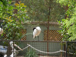 P1070593