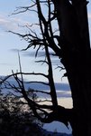 a玉山日出1