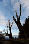 a玉山日出5