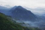 a阿里山高山茶園2