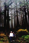 l 阿里山森林遊樂區21
