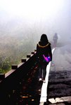 l 阿里山森林遊樂區23