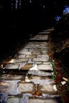 l 阿里山森林遊樂區26