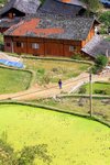 IMG_5200