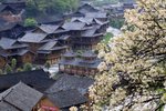 IMG_5217
