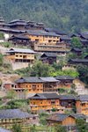 IMG_5228