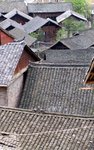 IMG_5425