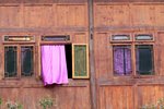 IMG_5465