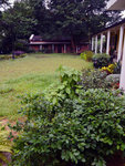 P1580697