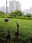 P1580705