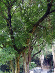 P1580709
