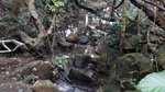 20140726_183718