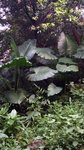 20140726_183821